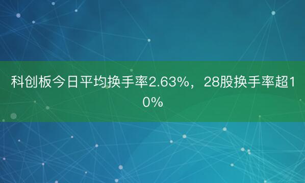 科创板今日平均换手率2.63%，28股换手率超10%