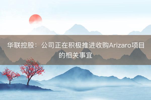 华联控股：公司正在积极推进收购Arizaro项目的相关事宜
