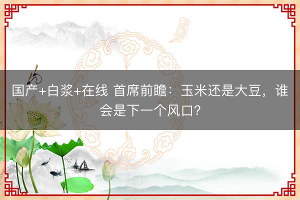 国产+白浆+在线 首席前瞻：玉米还是大豆，谁会是下一个风口？