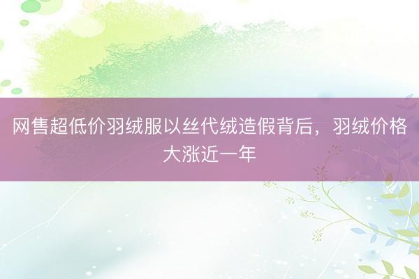 网售超低价羽绒服以丝代绒造假背后，羽绒价格大涨近一年