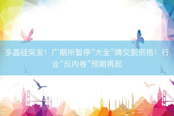 多晶硅突发！广期所暂停“大全”牌交割资格！行业“反内卷”预期再起