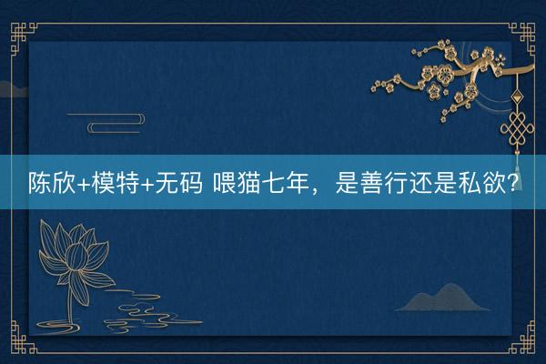 陈欣+模特+无码 喂猫七年，是善行还是私欲？