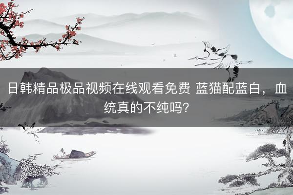 日韩精品极品视频在线观看免费 蓝猫配蓝白，血统真的不纯吗？