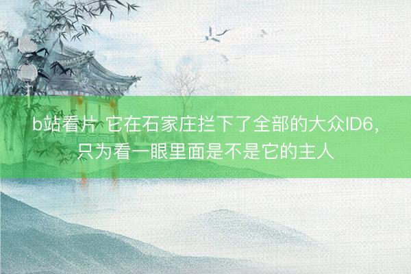 b站看片 它在石家庄拦下了全部的大众ID6，只为看一眼里面是不是它的主人