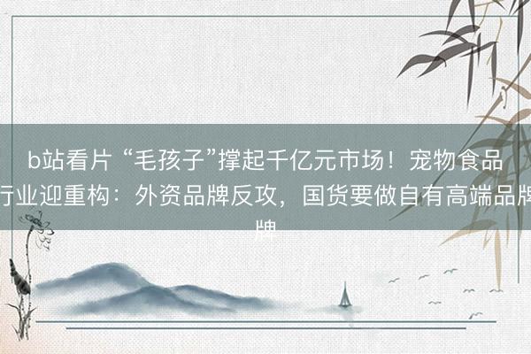b站看片 “毛孩子”撑起千亿元市场！宠物食品行业迎重构：外资品牌反攻，国货要做自有高端品牌