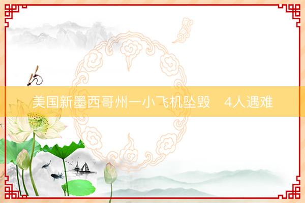 美国新墨西哥州一小飞机坠毁　4人遇难