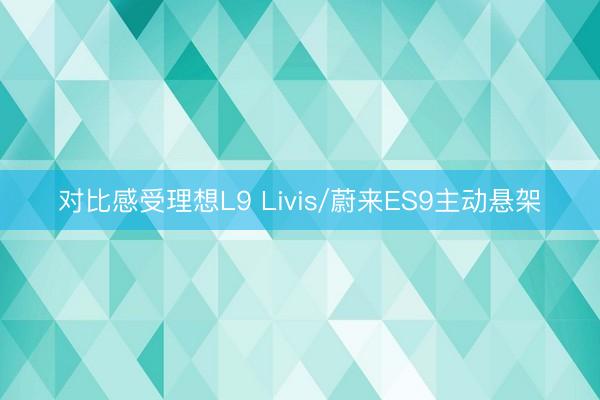 对比感受理想L9 Livis/蔚来ES9主动悬架