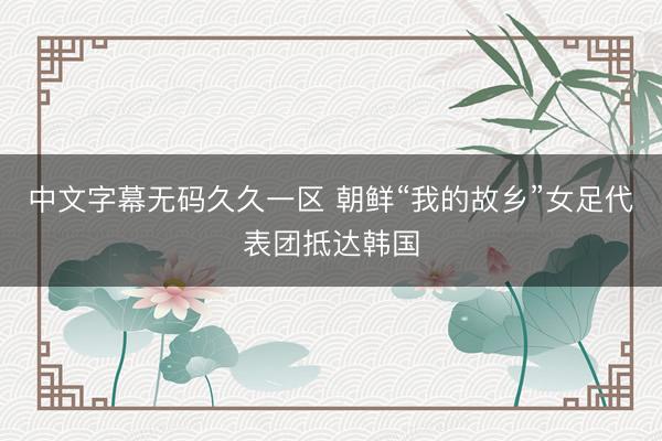 中文字幕无码久久一区 朝鲜“我的故乡”女足代表团抵达韩国
