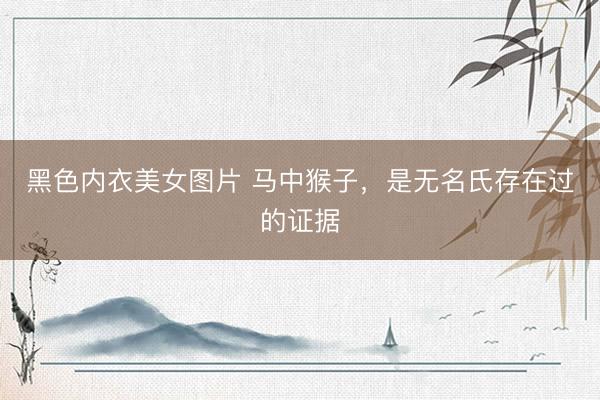 黑色内衣美女图片 马中猴子，是无名氏存在过的证据