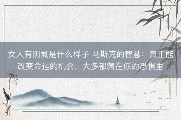 女人有阴虱是什么样子 马斯克的智慧：真正能改变命运的机会，大多都藏在你的恐惧里