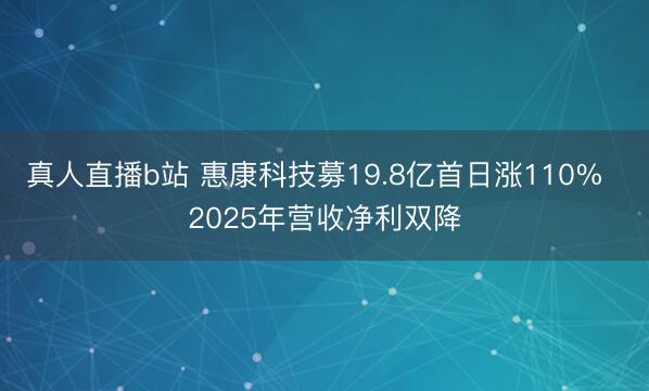 真人直播b站 惠康科技募19.8亿首日涨110%  2025年营收净利双降