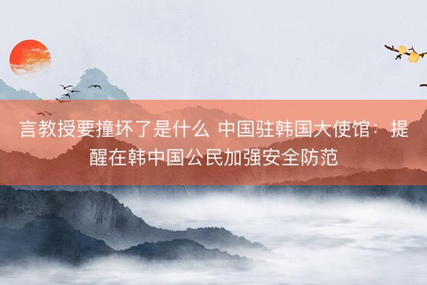 言教授要撞坏了是什么 中国驻韩国大使馆：提醒在韩中国公民加强安全防范