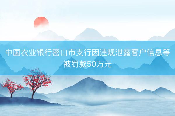 中国农业银行密山市支行因违规泄露客户信息等被罚款50万元