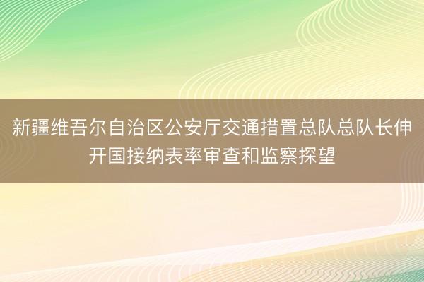 新疆维吾尔自治区公安厅交通措置总队总队长伸开国接纳表率审查和监察探望