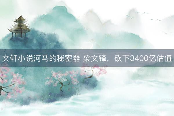 文轩小说河马的秘密器 梁文锋，砍下3400亿估值