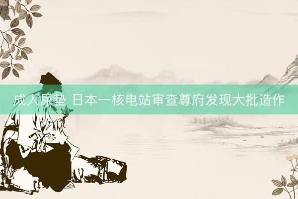 成人尿垫 日本一核电站审查尊府发现大批造作