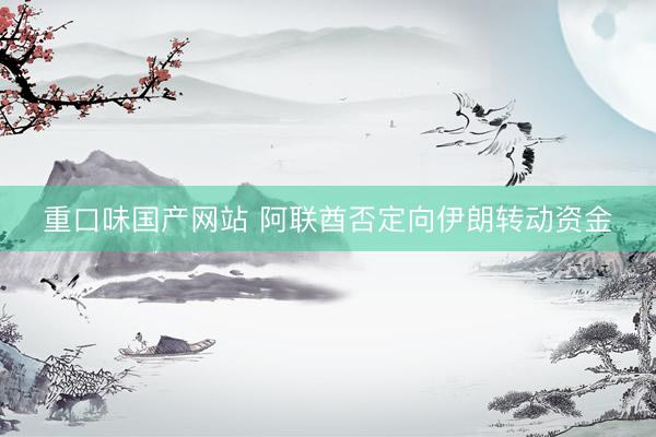 重口味国产网站 阿联酋否定向伊朗转动资金
