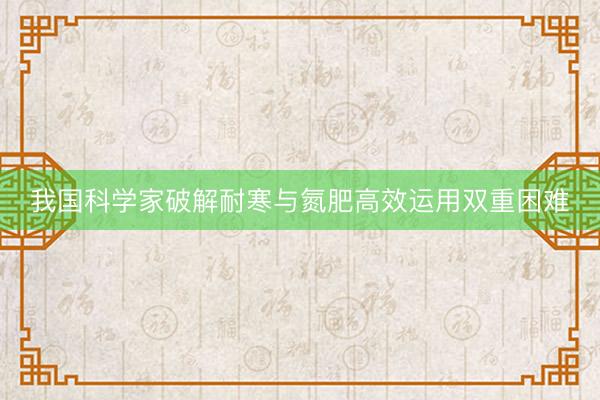 我国科学家破解耐寒与氮肥高效运用双重困难