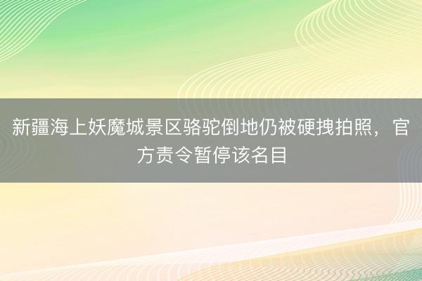 新疆海上妖魔城景区骆驼倒地仍被硬拽拍照，官方责令暂停该名目