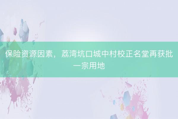 保险资源因素，荔湾坑口城中村校正名堂再获批一宗用地