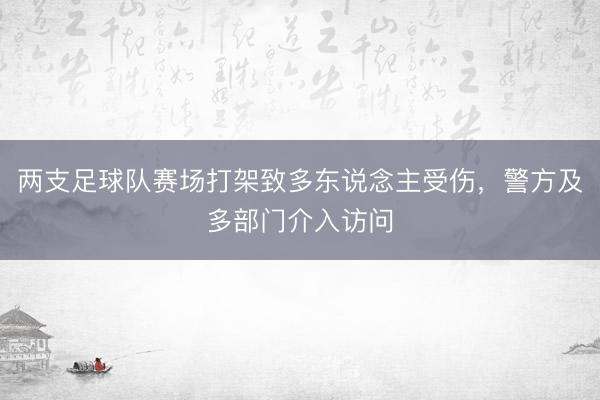 两支足球队赛场打架致多东说念主受伤，警方及多部门介入访问