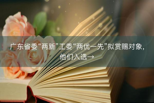 广东省委“两新”工委“两优一先”拟赏赐对象，他们入选→