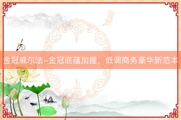 金冠威尔法-金冠底蕴加握，低调商务豪华新范本